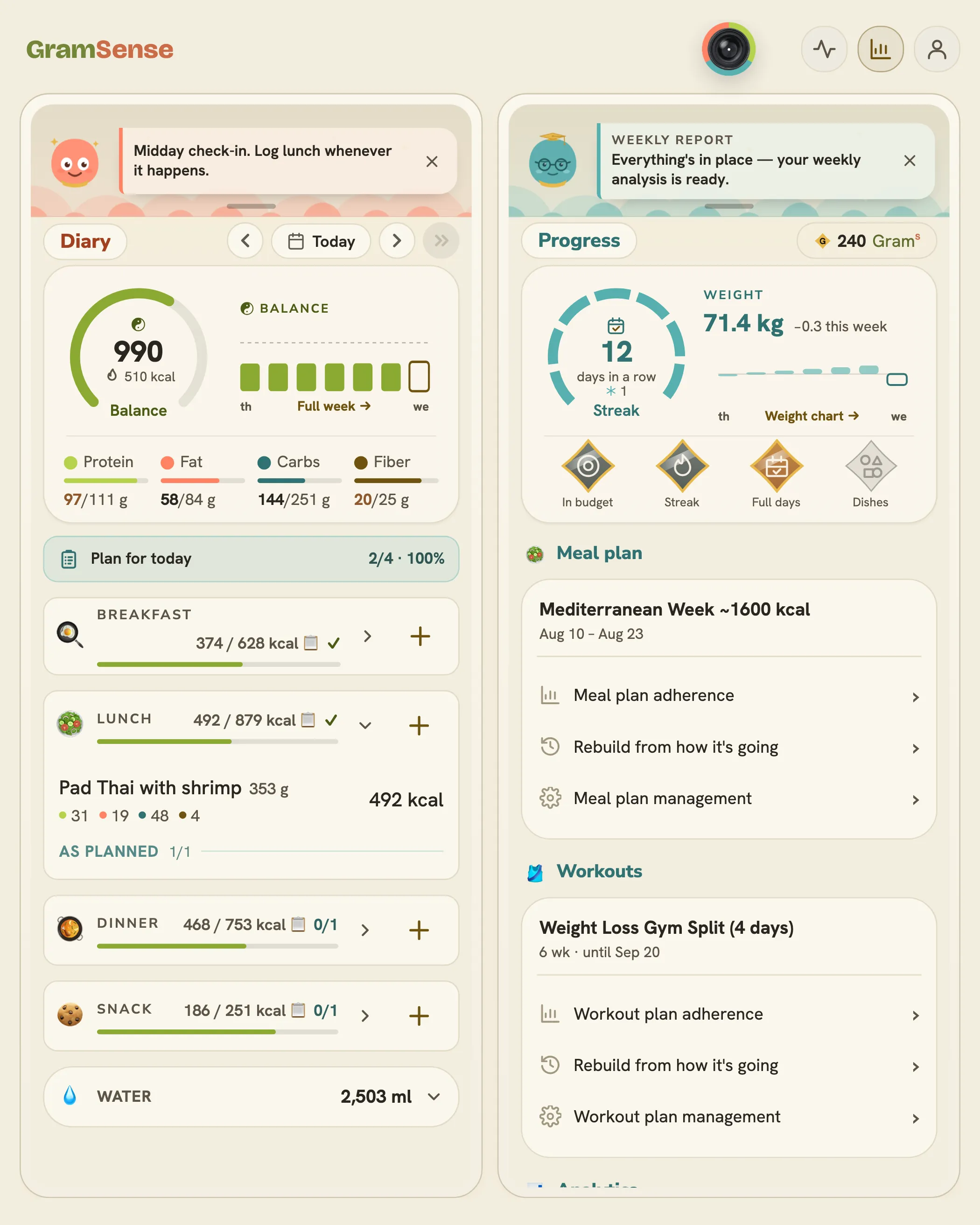 GramSense on a tablet: the food diary and the progress column side by side